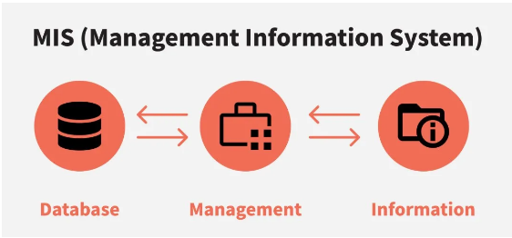 專業(yè)選擇之高薪專業(yè)盤點MIS-管理信息系統(tǒng)專業(yè)就業(yè)方向薪資水平詳解